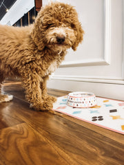 white multi color monogramed dog bowl placemat